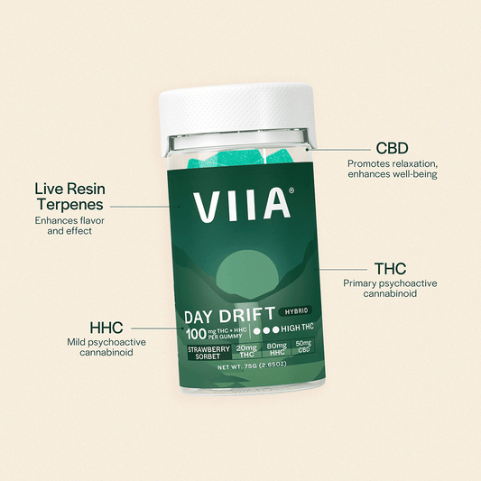Day Drift Hybrid Gummies - 100mg THC
