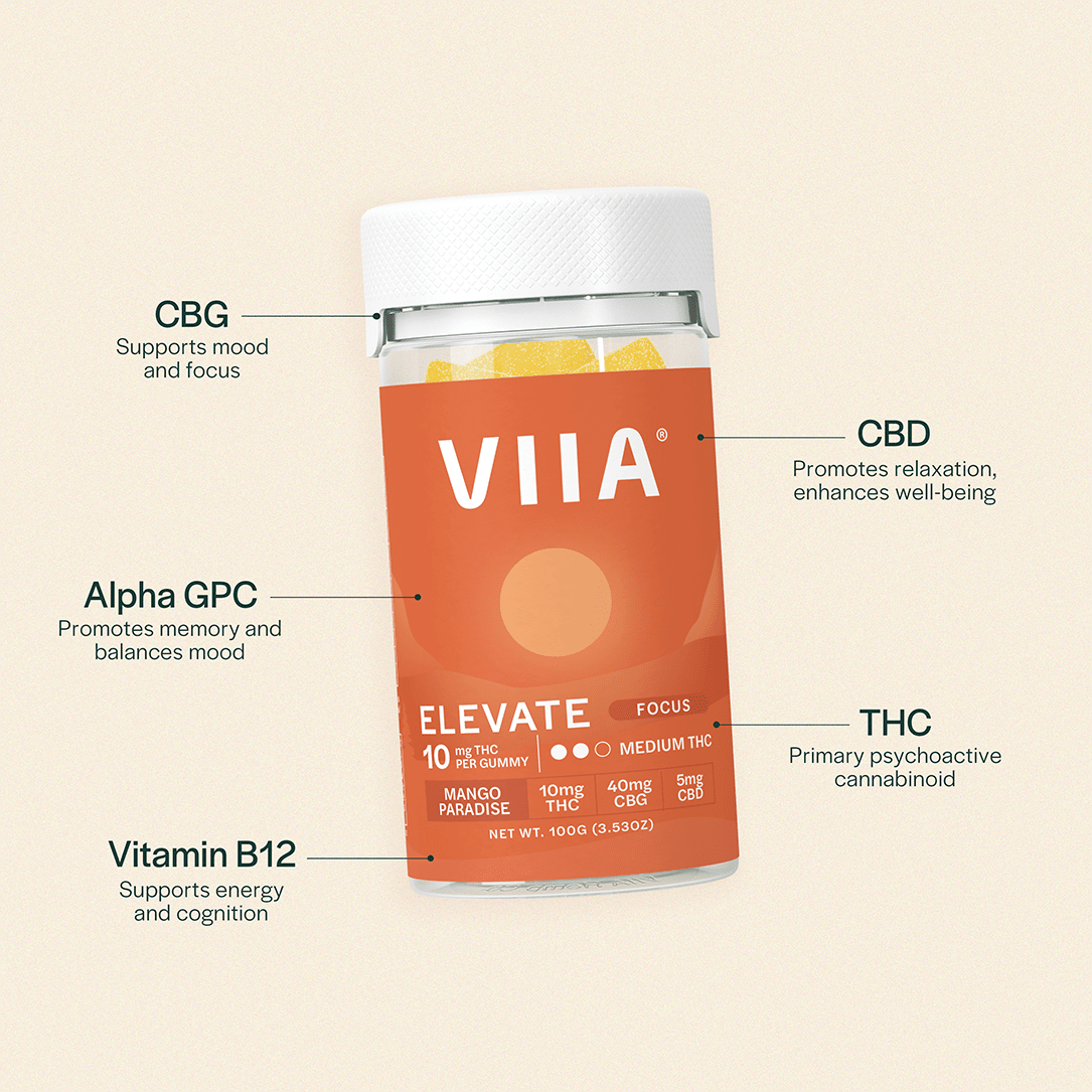 Elevate Focus Gummies - 10mg THC