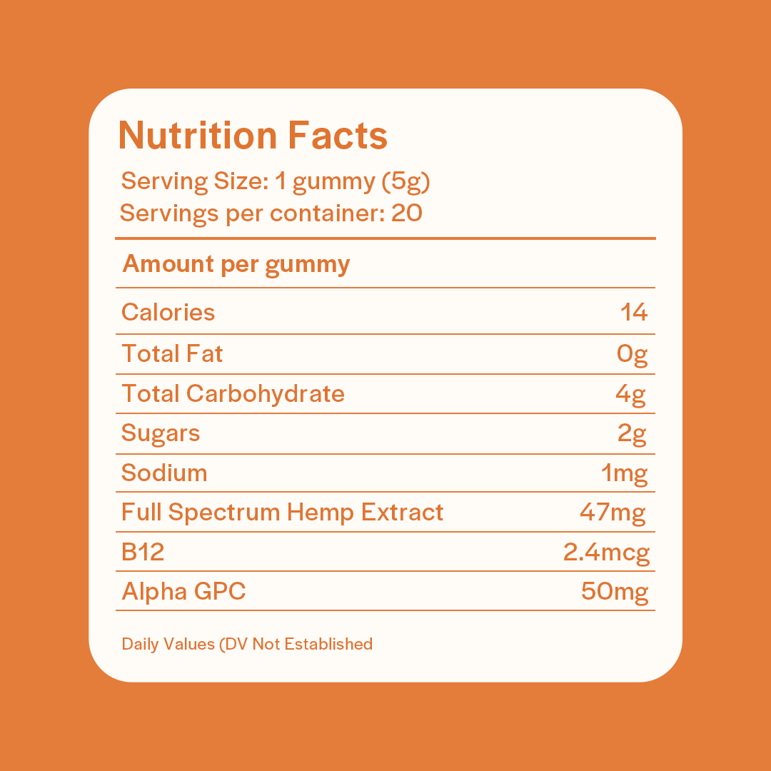 Elevate Focus Gummies - 2mg THC