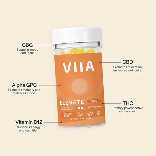 Elevate Focus Gummies - 5mg THC