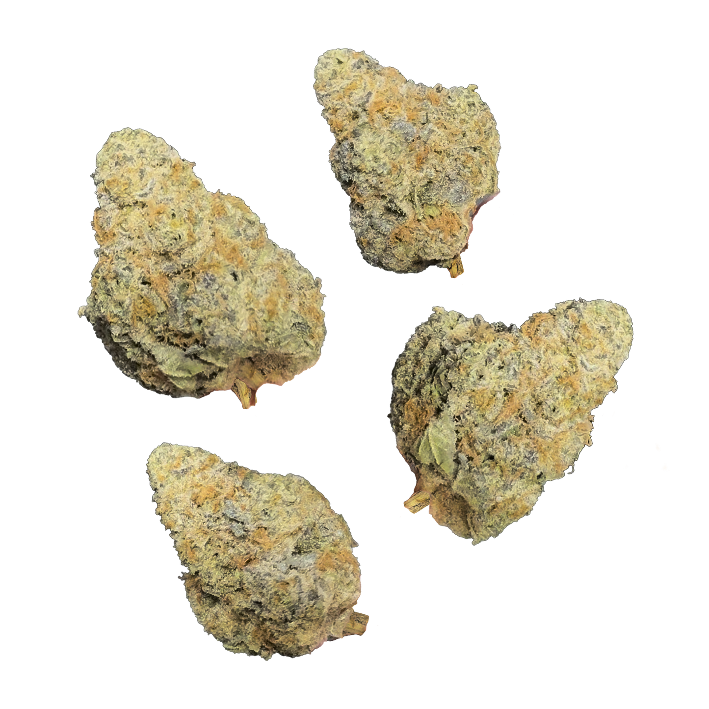 Lemon Cherry Pina
