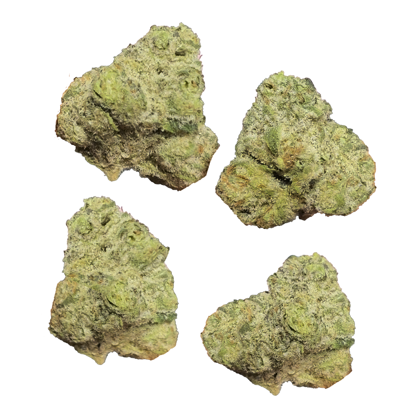 Zogurts