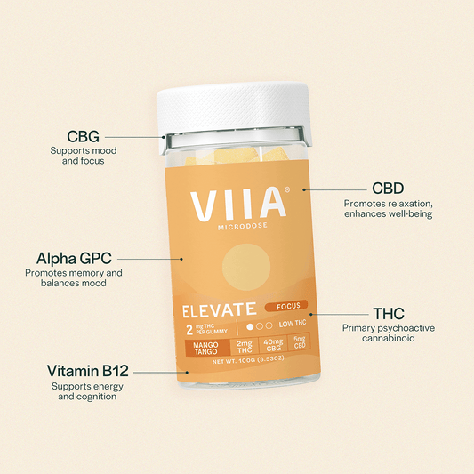 Elevate Focus Gummies - 2mg THC