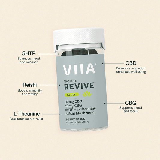 Revive CBD Relief Gummies - THC Free